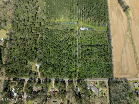 Townsend, Forest, MS 39074 photo 10