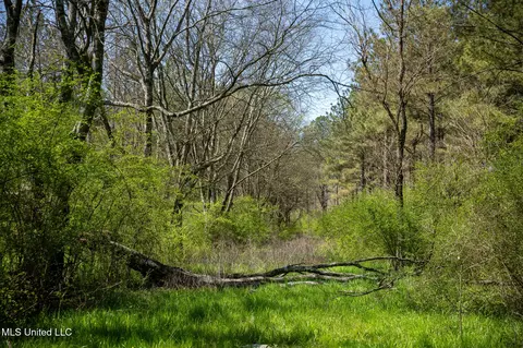 Townsend, Forest, MS 39074 photo 38