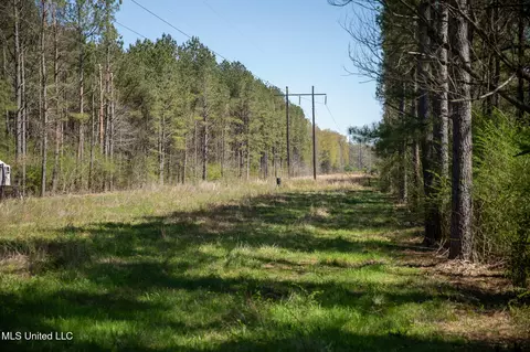 Townsend, Forest, MS 39074 photo 36