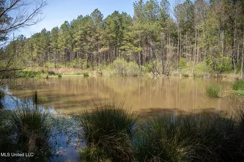 Townsend, Forest, MS 39074 photo 34