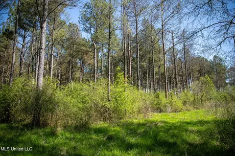 Townsend, Forest, MS 39074 photo 25