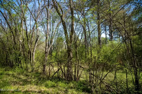 Townsend, Forest, MS 39074 photo 19