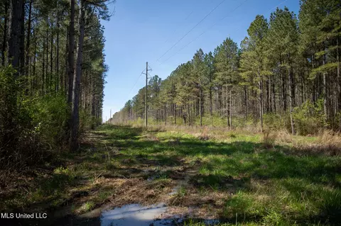 Townsend, Forest, MS 39074 photo 33