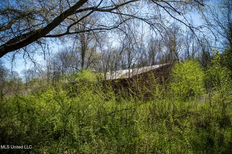 Townsend, Forest, MS 39074 photo 23