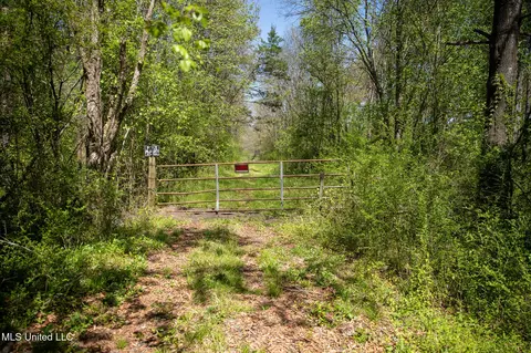 Townsend, Forest, MS 39074 photo 43