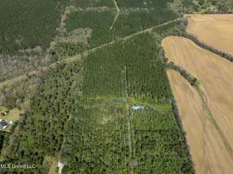 Townsend, Forest, MS 39074 photo 11