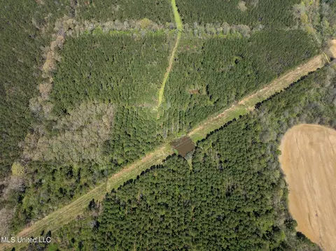 Townsend, Forest, MS 39074 photo 13