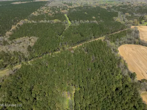 Townsend, Forest, MS 39074 photo 7