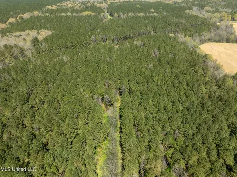 Townsend, Forest, MS 39074 photo 6