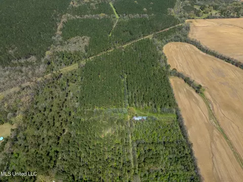 Townsend, Forest, MS 39074 photo 8