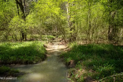 Townsend, Forest, MS 39074 photo 29