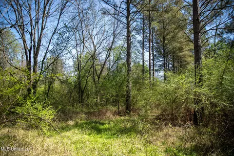 Townsend, Forest, MS 39074 photo 20