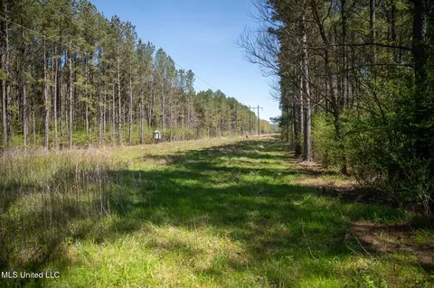 Townsend, Forest, MS 39074 photo 35
