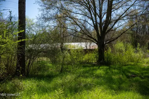 Townsend, Forest, MS 39074 photo 37