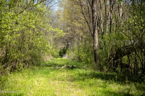 Townsend, Forest, MS 39074 photo 21