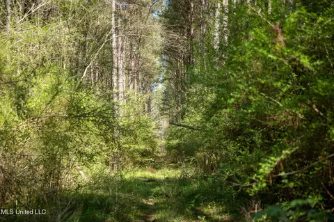 Townsend, Forest, MS 39074 photo 30