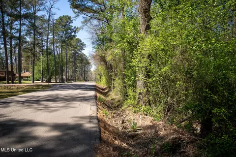 Townsend, Forest, MS 39074 photo 44