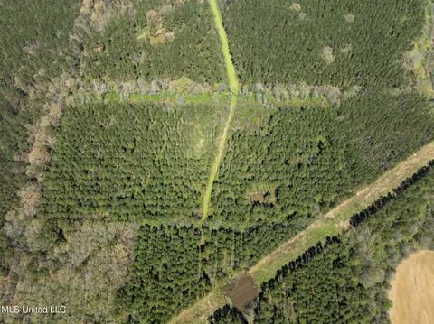 Townsend, Forest, MS 39074 photo 15