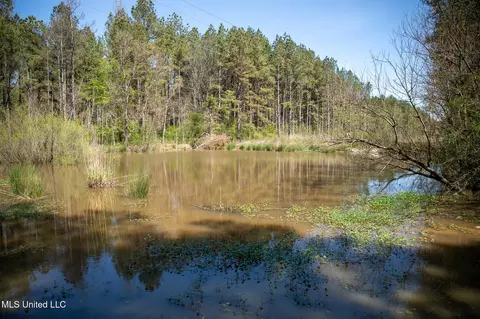Townsend, Forest, MS 39074 photo 31