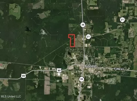 Townsend, Forest, MS 39074 photo 3