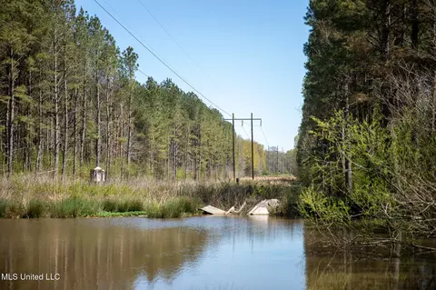Townsend, Forest, MS 39074 photo 32