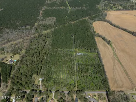 Townsend, Forest, MS 39074