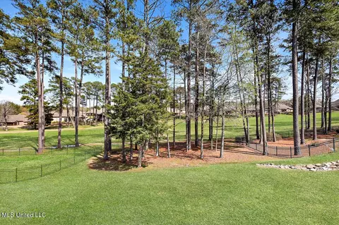 112 Willow Crest Cir, Brandon, MS 39047 photo 3