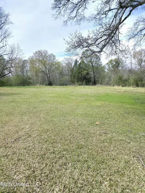 0 Dunn Pease Rd, Raymond, MS 39154 photo 4