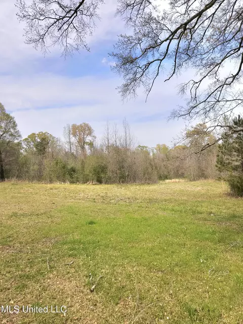 0 Dunn Pease Rd, Raymond, MS 39154 photo 3