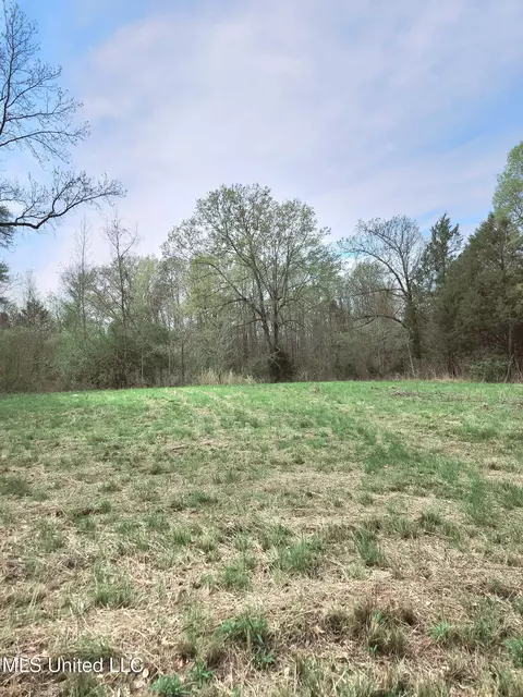 0 Dunn Pease Rd, Raymond, MS 39154