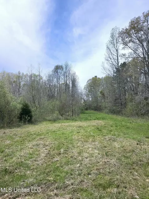 0 Dunn Pease Rd, Raymond, MS 39154 photo 5