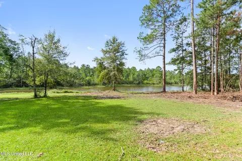Other - 120 Maple Dr, Perkinston, MS 39573 photo 4 of 11