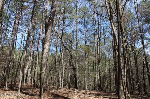 0 Highway 310, Como, MS 38619 photo 35