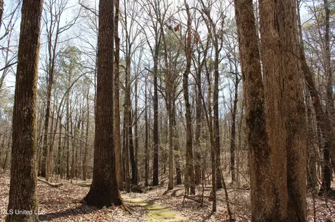0 Highway 310, Como, MS 38619 photo 38