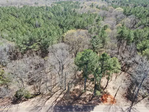 0 Highway 310, Como, MS 38619 photo 8
