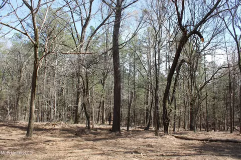 0 Highway 310, Como, MS 38619 photo 29