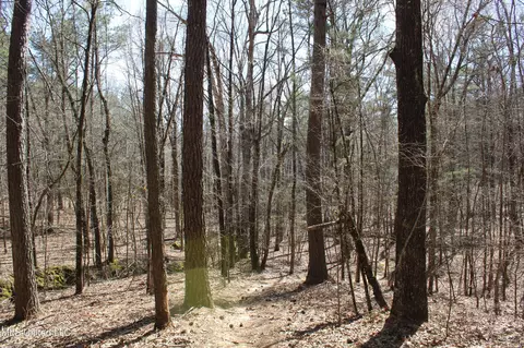 0 Highway 310, Como, MS 38619 photo 36