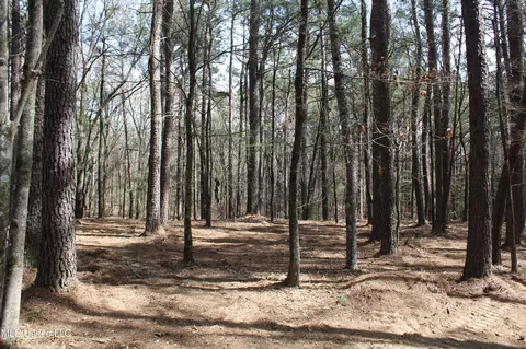 0 Highway 310, Como, MS 38619 photo 16