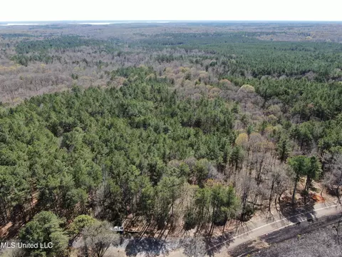 0 Highway 310, Como, MS 38619 photo 3