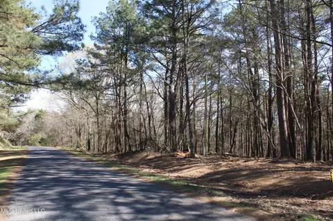 0 Highway 310, Como, MS 38619 photo 44