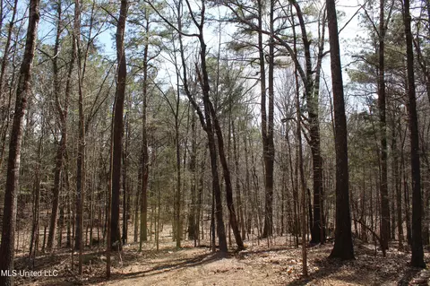 0 Highway 310, Como, MS 38619 photo 31