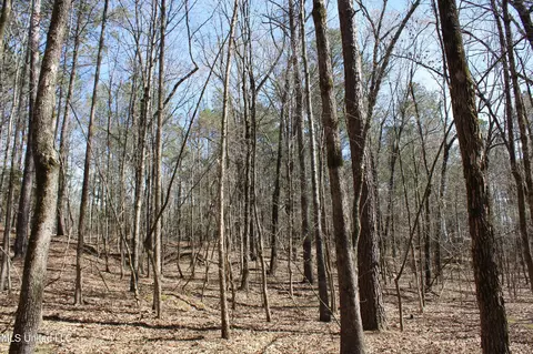 0 Highway 310, Como, MS 38619 photo 42