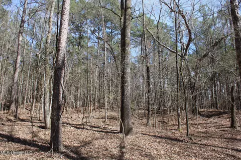 0 Highway 310, Como, MS 38619 photo 40
