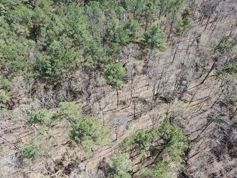 0 Highway 310, Como, MS 38619 photo 6