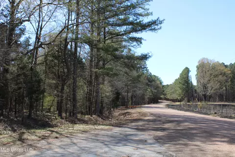 0 Highway 310, Como, MS 38619 photo 13