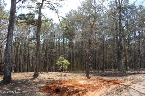0 Highway 310, Como, MS 38619 photo 14