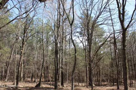 0 Highway 310, Como, MS 38619 photo 30