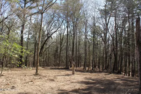 0 Highway 310, Como, MS 38619 photo 28