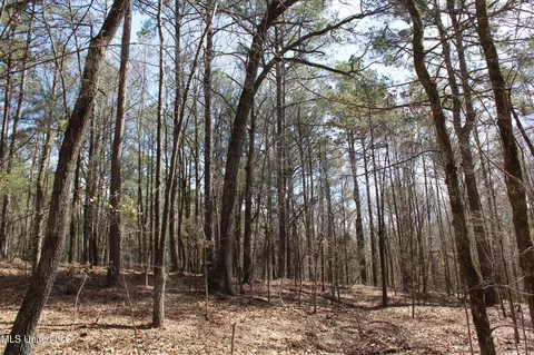 0 Highway 310, Como, MS 38619 photo 32