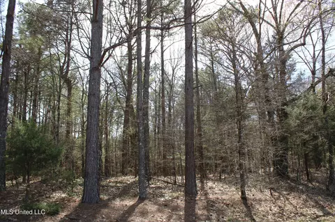 0 Highway 310, Como, MS 38619 photo 27